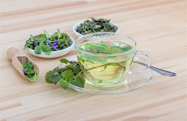 室内で育てる食虫植物4選！失敗しないコツと注意点
