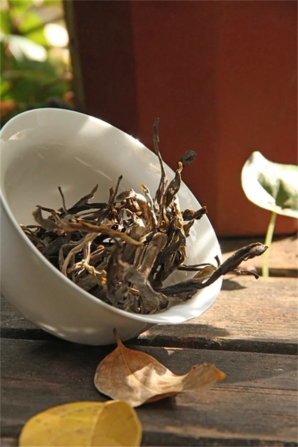 真菌蚊蚋トラップを自宅で簡単に作る方法！効果的な3つの手段で80%駆除