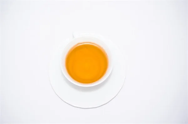 真菌蚊蚋トラップを自宅で簡単に作る方法！効果的な3つの手段で80%駆除