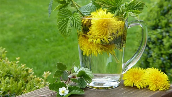 冬の玄関をおしゃれに！すぐできる寄せ植え5つの簡単レシピとプロのコツ
