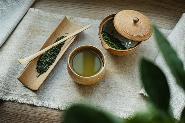 秋の庭掃除、やめたほうがいい理由とは？落ち葉を残すべき3つのコツ